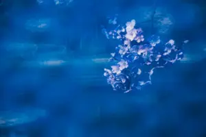 青